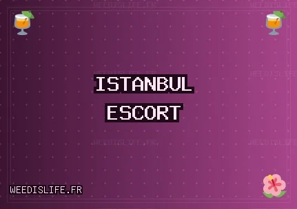 İstanbul Escort: Beyoğlu Escort, Maltepe Escort, Başakşehir Escort