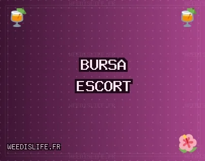 Bursa Escort: Keles Escort, Kestel Escort, Gemlik Escort