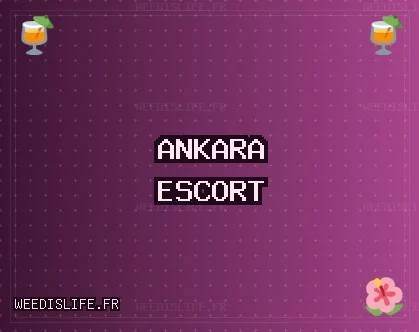 Ankara Escort: Pursaklar Escort, Gölbaşı Escort, Polatlı Escort